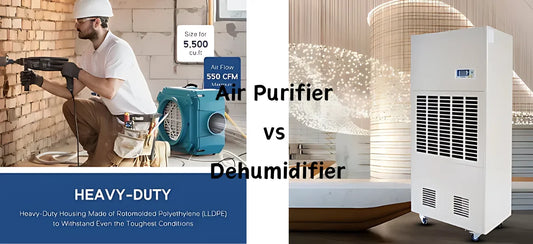 Air Purifier vs Dehumidifier: What Best Suits You